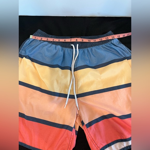 Rowdy Gentlemen Mens Size L Swim Trunks - Picture 5 of 8